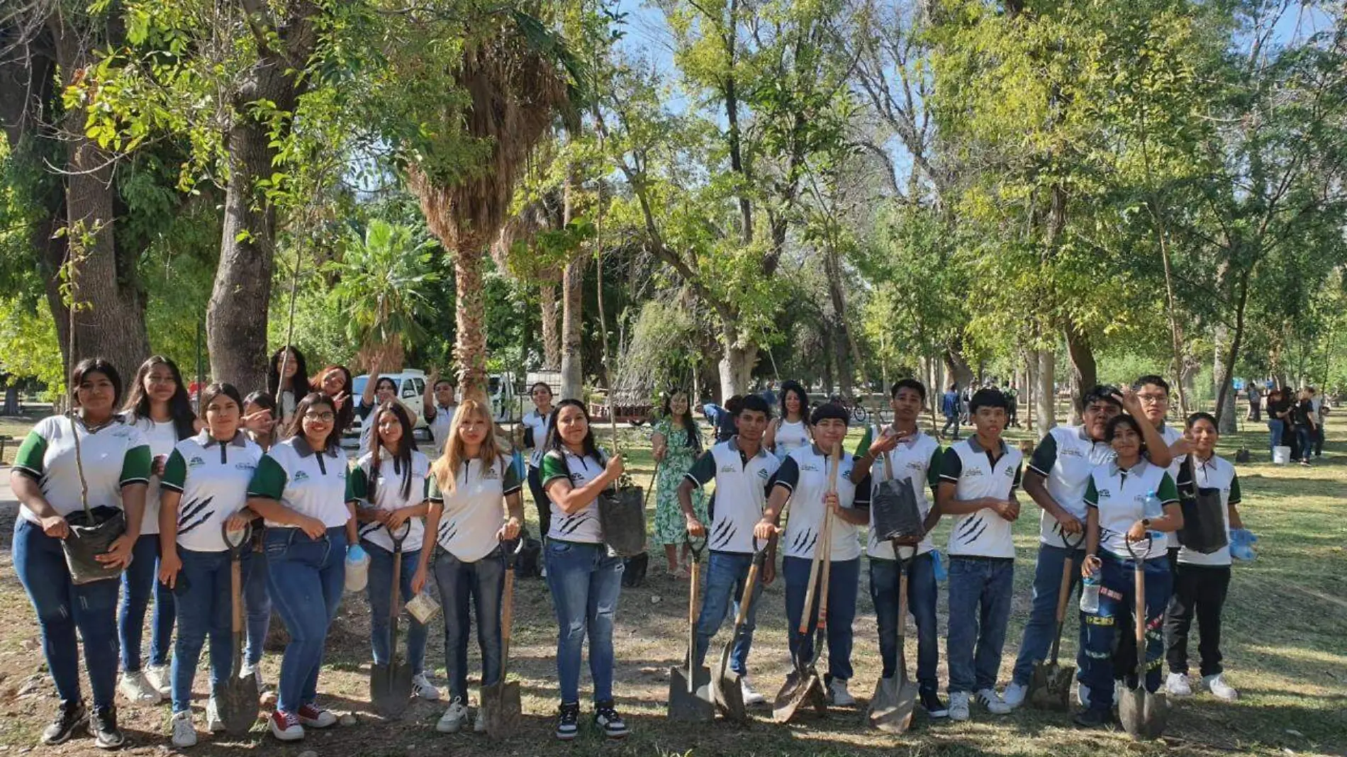 En una nueva jornada de reforestación se plantaron 100 árboles en el Bosque Venustiano Carranza